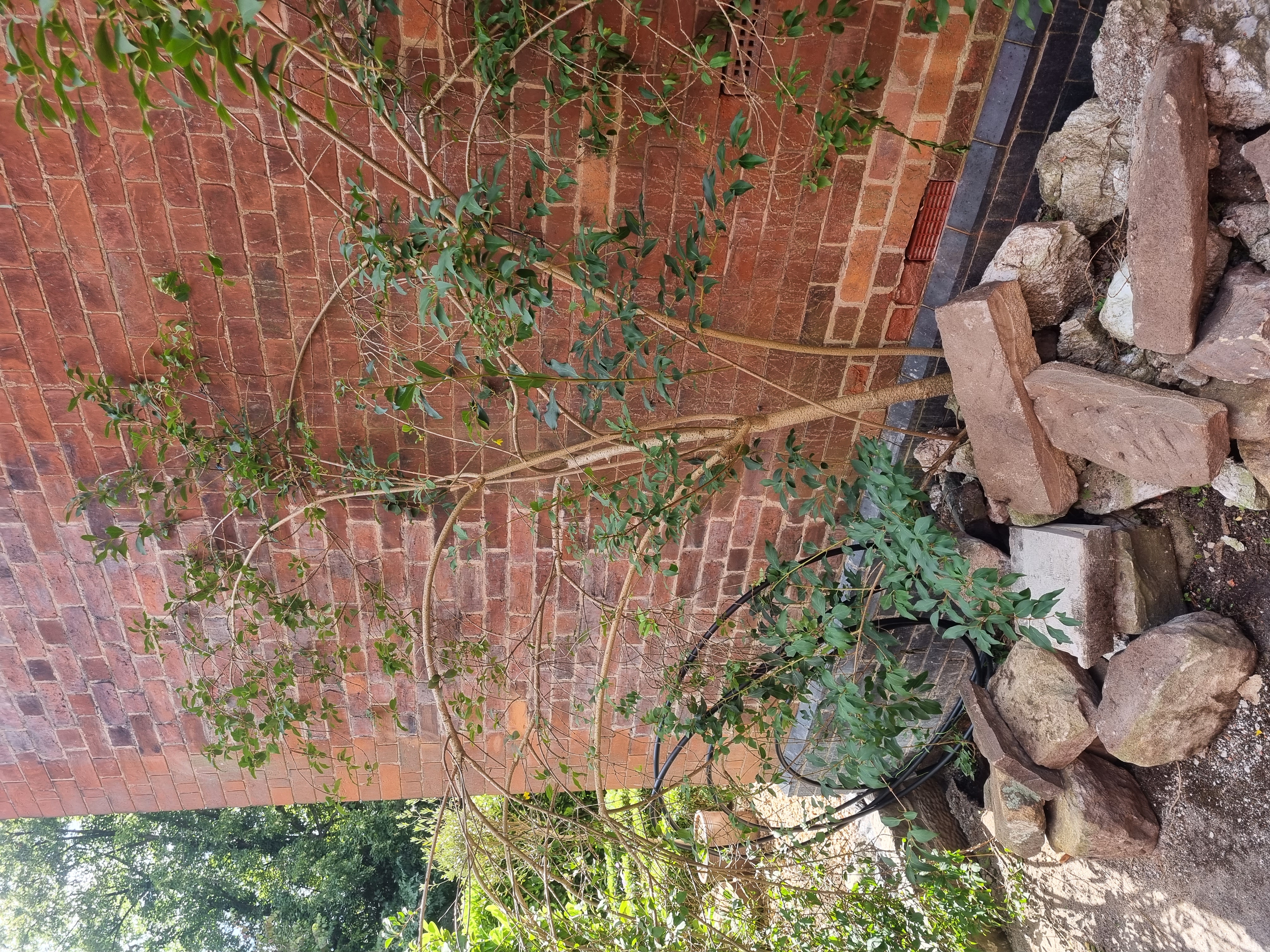 Structural alterations work